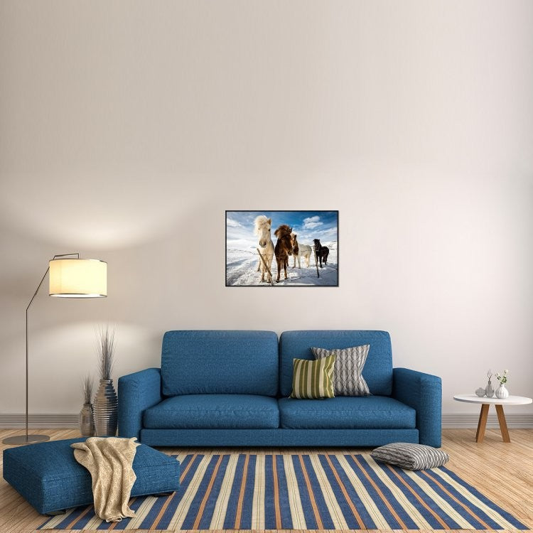 "Icelandic Hair Style" Framed Canvas Giclee by Mike Leske, 37x25"