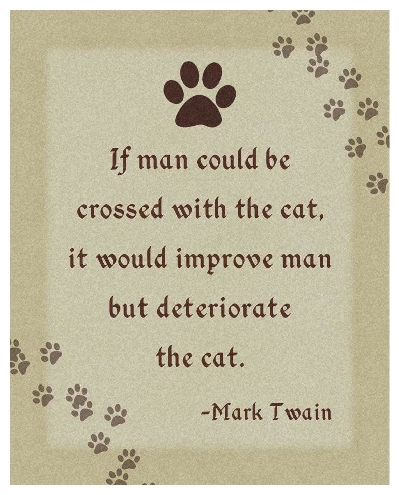 "Mark Twain: Cross Man and Cat" Digital Paper Print by BG.Studio, 24"x30"