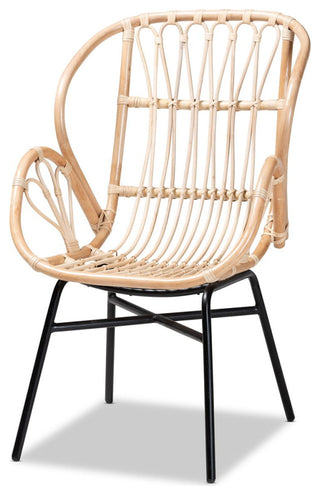 Caelia Modern Bohemian Natural Brown Rattan and Black Metal Chair