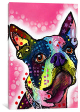 "Boston Terrier" Wrapped Canvas Art Print, 26x18x1.5