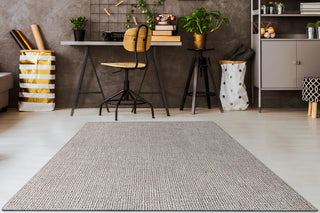 Sonoma Beige Area Rug, 3.3'x5.3'