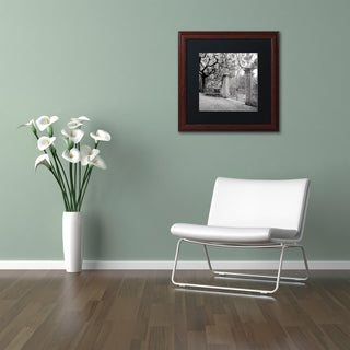 Alan Blaustein 'Firenze I' Art, Wood Frame, Black Mat, 11x11