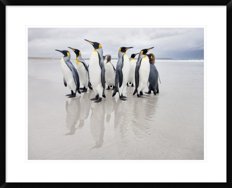 "Bodyguard" Framed Digital Print by Joan Gil Raga, 32x26"
