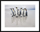 "Bodyguard" Framed Digital Print by Joan Gil Raga, 32x26"