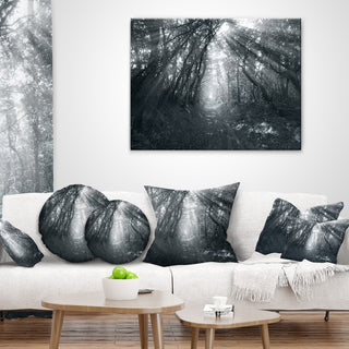 Sun Rays Through Gray Trees Landscape Photography Throw Pillow, 16"x16"