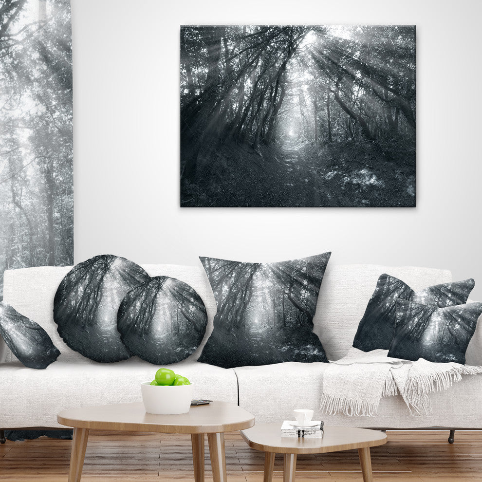 Sun Rays Through Gray Trees Landscape Photography Throw Pillow, 16"x16"