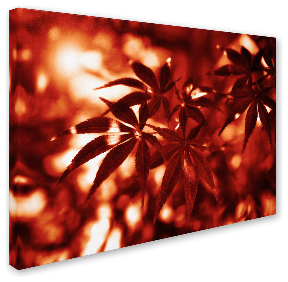 ''Welding Burns'' Canvas Art by Philippe Sainte-Laudy