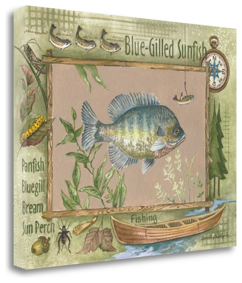 "Blue - Gilled Sunfish" By Anita Phillips, Giclee Print on Gallery Wrap Canvas