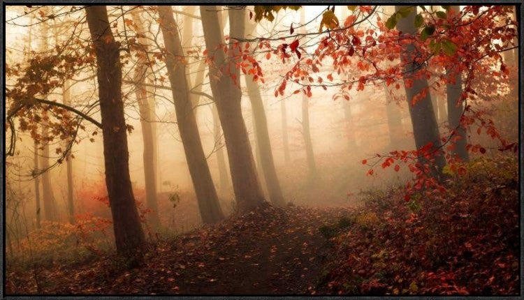 "Towards The Light." Framed Canvas Giclee by Leif Londal, 37x21"