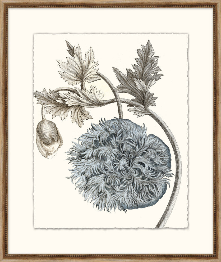 Azure Botanical 5, Giclee Reproduction Artwork