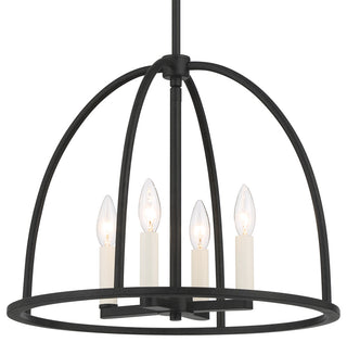 Abbott Four Light Chandelier in Black