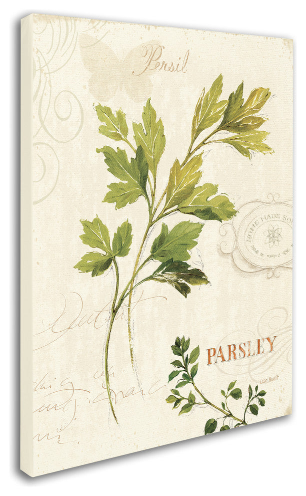'Aromantique I' Canvas Art by Lisa Audit