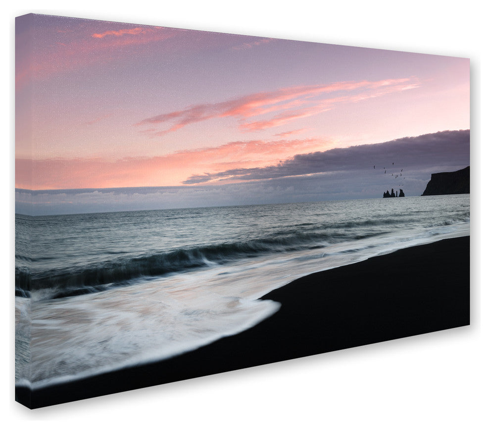 Philippe Sainte-Laudy 'Vik Birds at Sunset' Canvas Art