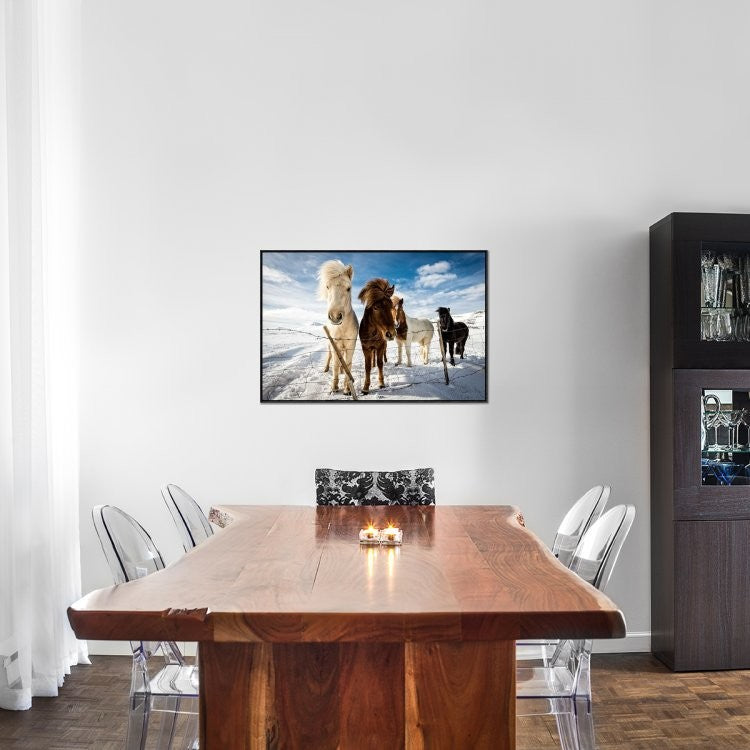 "Icelandic Hair Style" Framed Canvas Giclee by Mike Leske, 37x25"