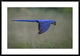 "Suspended" Framed Digital Print by Greg Barsh, 44x31"