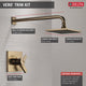 Delta Vero Monitor 17 Series Shower Trim, Champagne Bronze, T17253-CZ