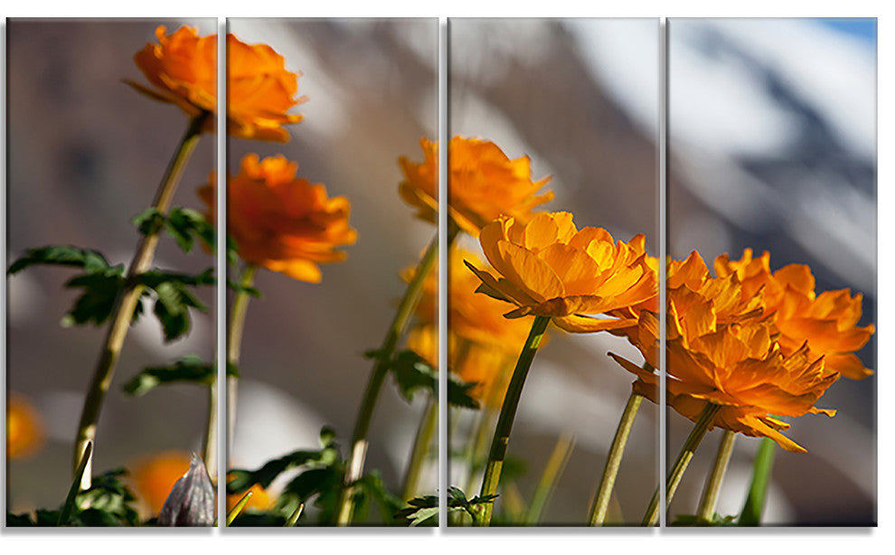 Attractive Small Yellow Flowers, Large Flower Canvas Wall Art, 48"x28", 4 Panels