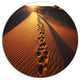 Hikers Footprints In Namib Desert, Landscape Disc Metal Wall Art, 23"