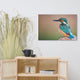 Common Kingfisher Bird on Perch Animal Wildlife Photograph Canvas Wall Art Print, 24" X 36"