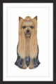 "Yorkshire Terrier" Framed Painting Print, 20"x30"