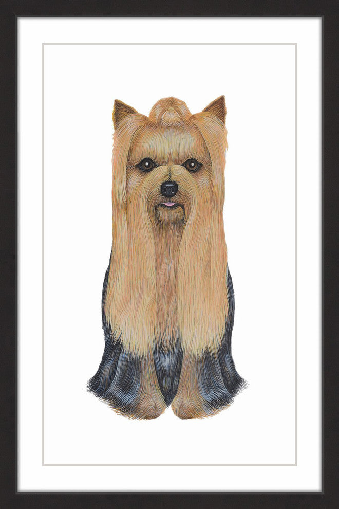 "Yorkshire Terrier" Framed Painting Print, 20"x30"
