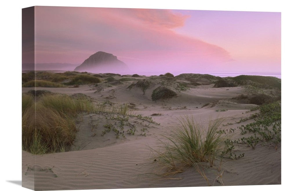 "Morro Rock at Morro Bay, California" Canvas Giclee by Tim Fitzharris, 16"x12"