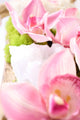 Rose Garden in Large Wood Log