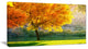 Beautiful Autumn Season in Forest, Extra Large Landscape Canvas Art, 32"x16"