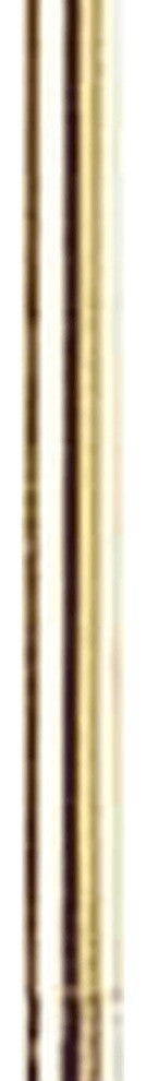 68" Bronze Adjustable Traditional Shaped Floor Lamp With Beige Empire Shade