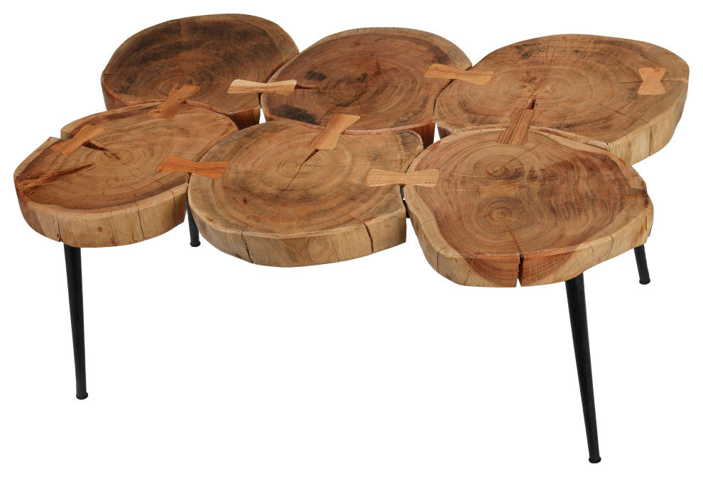 Bare Decor Tucker Metal and Wood Coffee Table