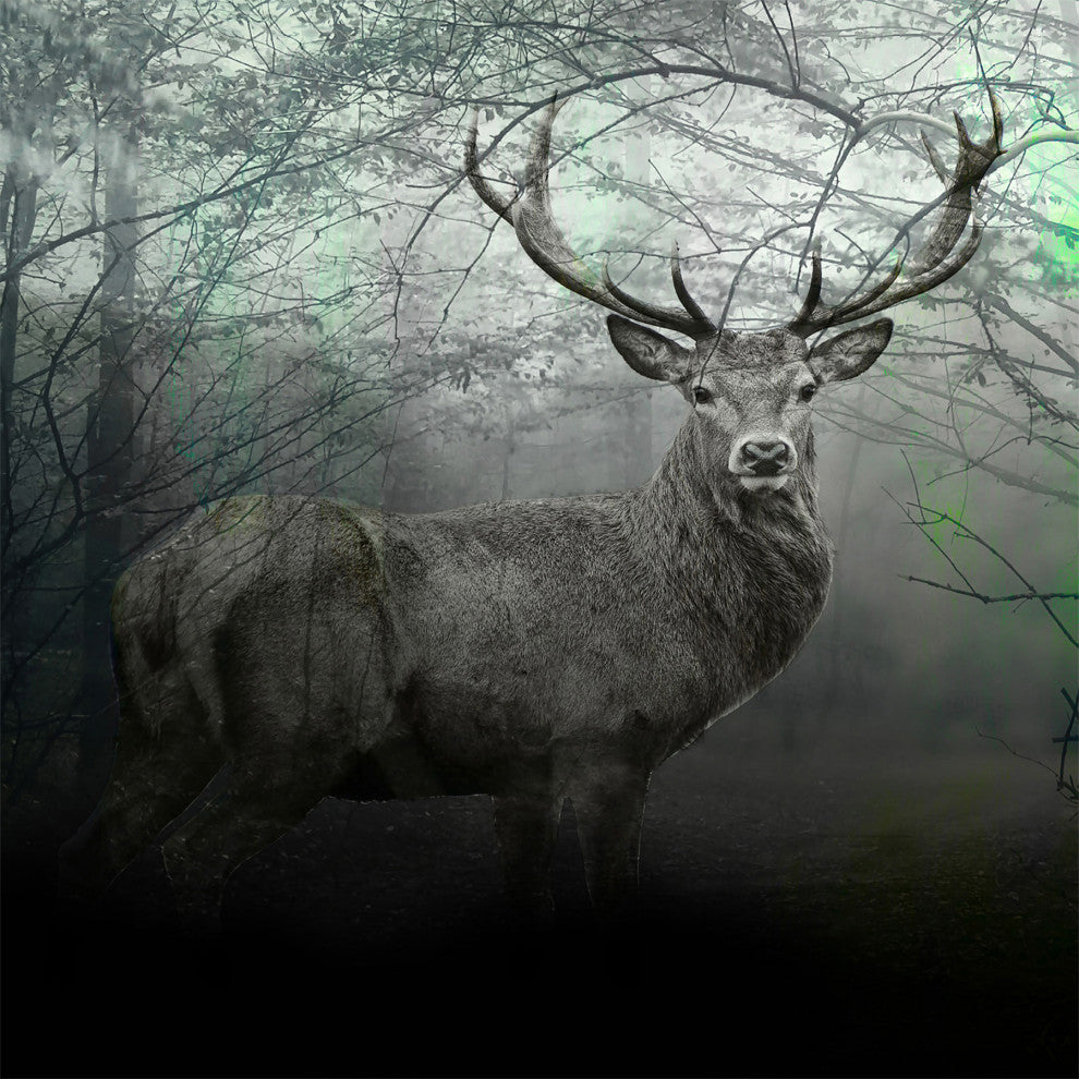 Majestic Stag 2, Giclee Reproduction Artwork