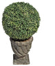 27"H Tall Boxwood Ball Topiaries- Large Ball