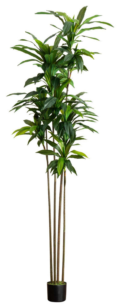 8ft. Artificial Dracaena Tree With Real Touch Leaves