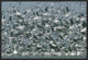 American Avocet Flock Erupting Into Flight, North America, 24"x16"