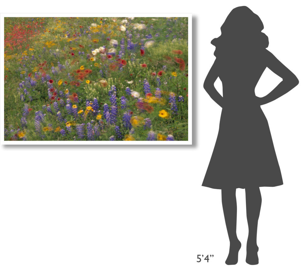 "Wildflowers blowing in the wind, Hill Country, Texas" Paper Art, 50"x34"