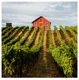 Lance Kuehne 'Dry Creek Barn' Canvas Art, 18"x18"