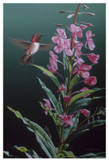Ron Parker 'Fireweed' Canvas Art, 19"x12"