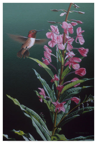 Ron Parker 'Fireweed' Canvas Art, 19"x12"