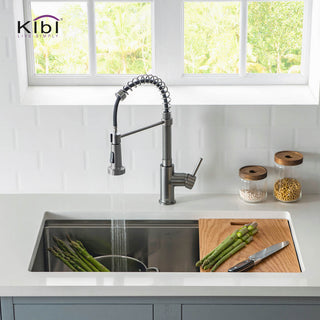 Aurora Single Handle Pull Down Kitchen Faucet, Titanium, W/ Soap Dispenser