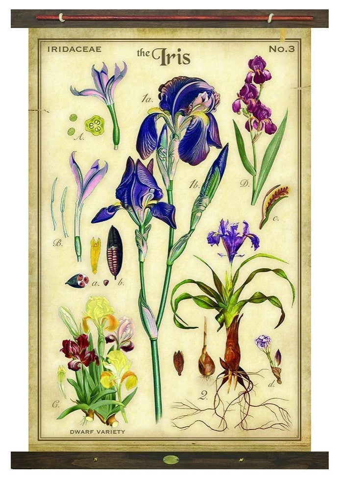 The Iris Arrangement Tapestry Wall Decor