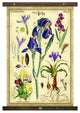 The Iris Arrangement Tapestry Wall Decor