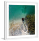"Aqua Lake Chill" Framed Print by Karolis Janulis