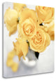 "Floral Color - 21" By Alan Blaustein, Giclee Print on Gallery Wrap Canvas