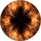 Fractal Black Brown Flower, Abstract Floral Disc Metal Wall Art, 23"