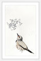 Marmont Hill, "Northern Flicker" by Christine Lindstrom Framed Painting, 16x24