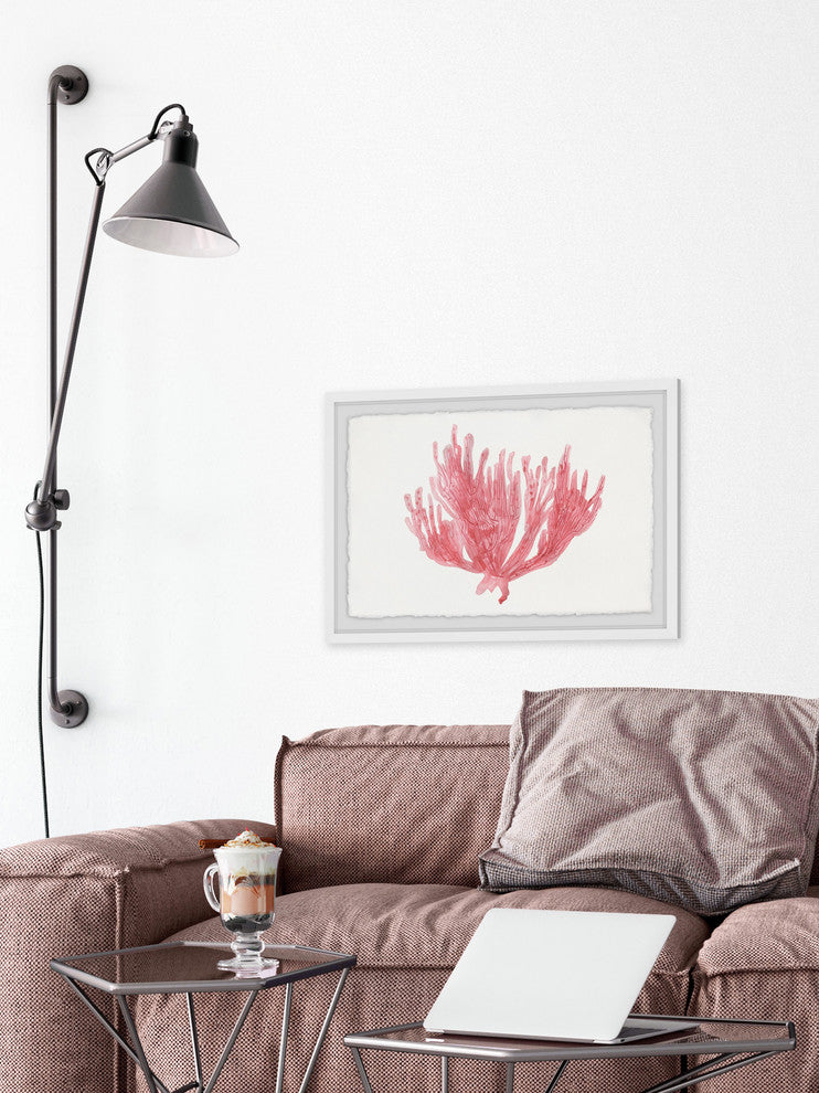 "Lone Coral" Framed Painting Print, 30"x20"