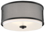 3-Light Ceiling Light, Matte Black