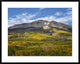 Aspen Forest And East Beckwith Mountain, West Elk Wilderness, Colorado, 38"x30"