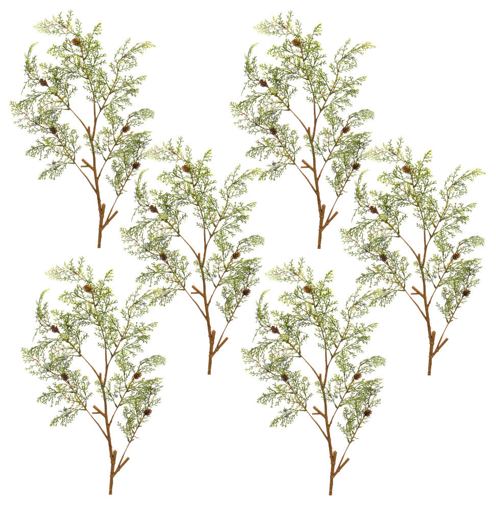 Cedar Spray, 6-Piece Set