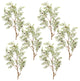 Cedar Spray, 6-Piece Set